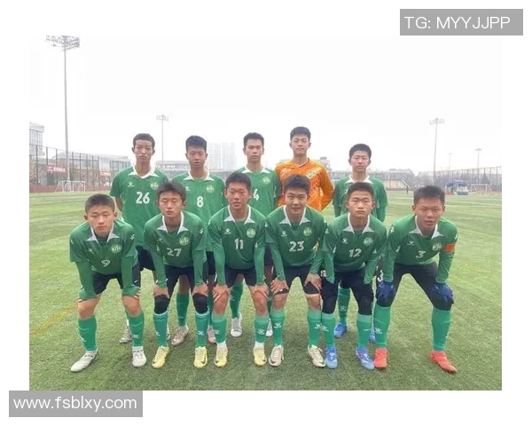 洲际杯分析：西安排球队实力与表现的全面评估与探讨