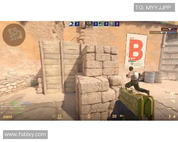 CS_GO专题：聚焦FPX的耐力